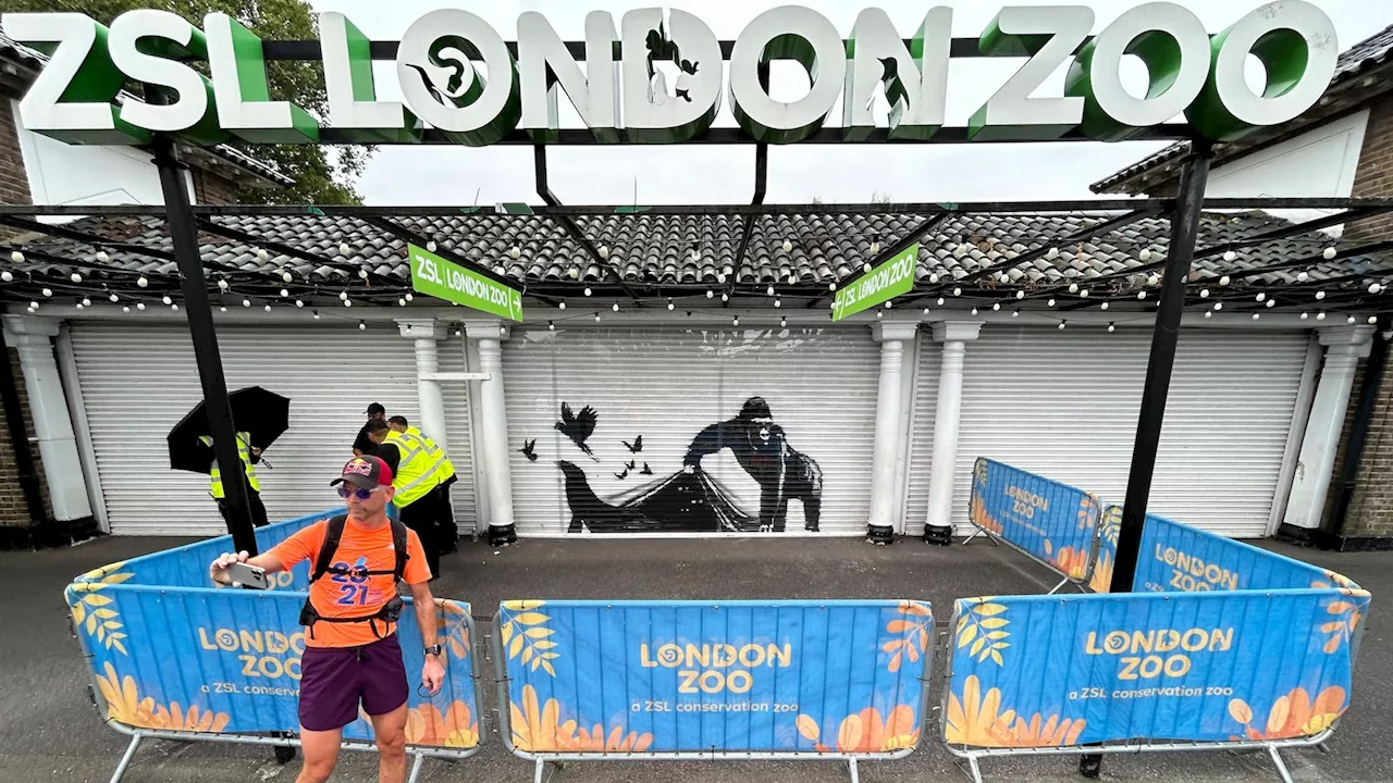 'Banksy woz ere.' London Zoo is the latest to remove street artist's animal mural for protection
