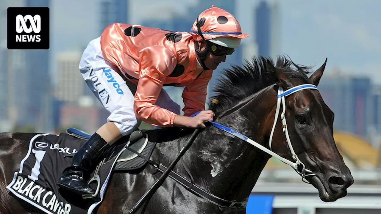 Champion racehorse Black Caviar dies a day before her 18th birthday following laminitis disease