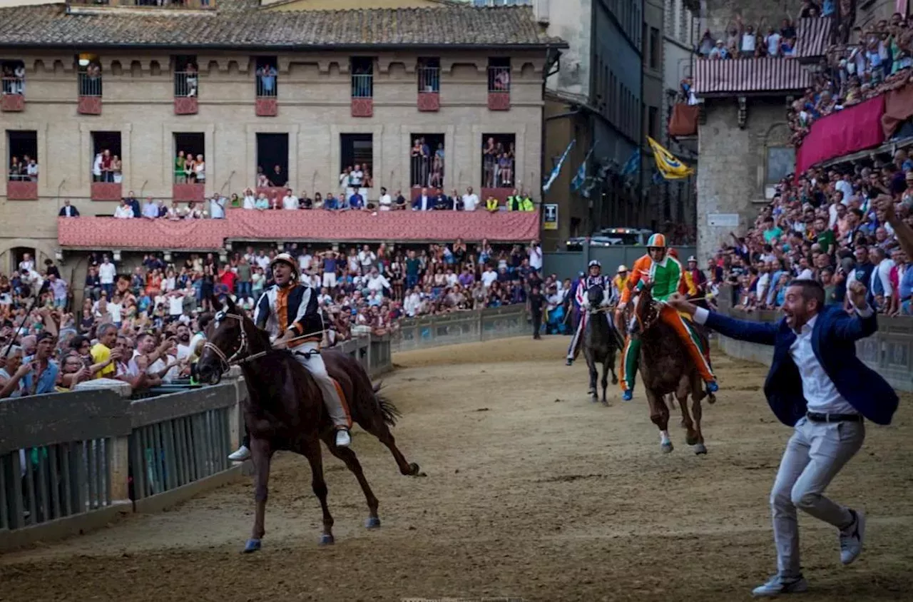 Lupa vince il Palio di Siena oggi 17 agosto 2024 Italia Head Topics