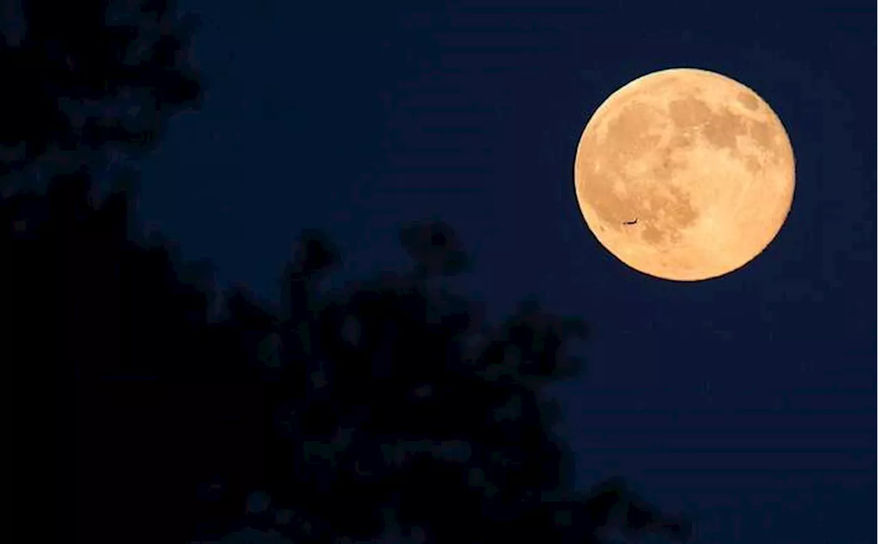 Llega la primera Superluna del año