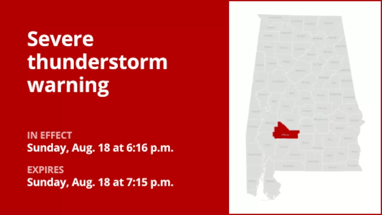 Anticipate damaging winds and penny-sized hail with thunderstorms in Wilcox County Sunday