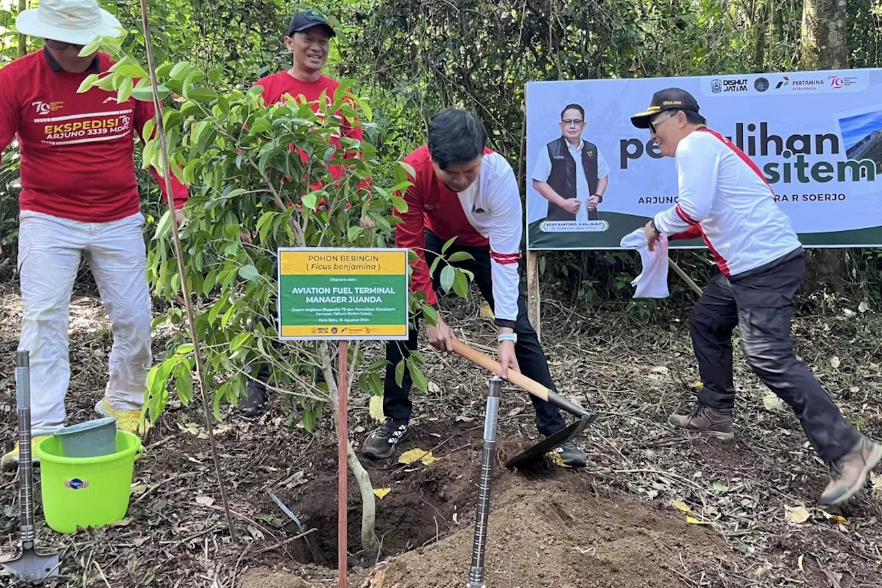 Pertamina Patra Niaga hijaukan Gunung Arjuno peringati HUT RI