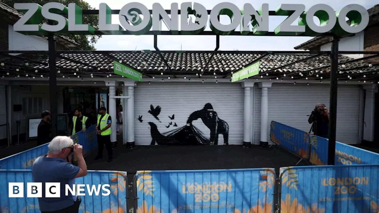 Banksy: London Zoo removes gorilla artwork for 'safekeeping'