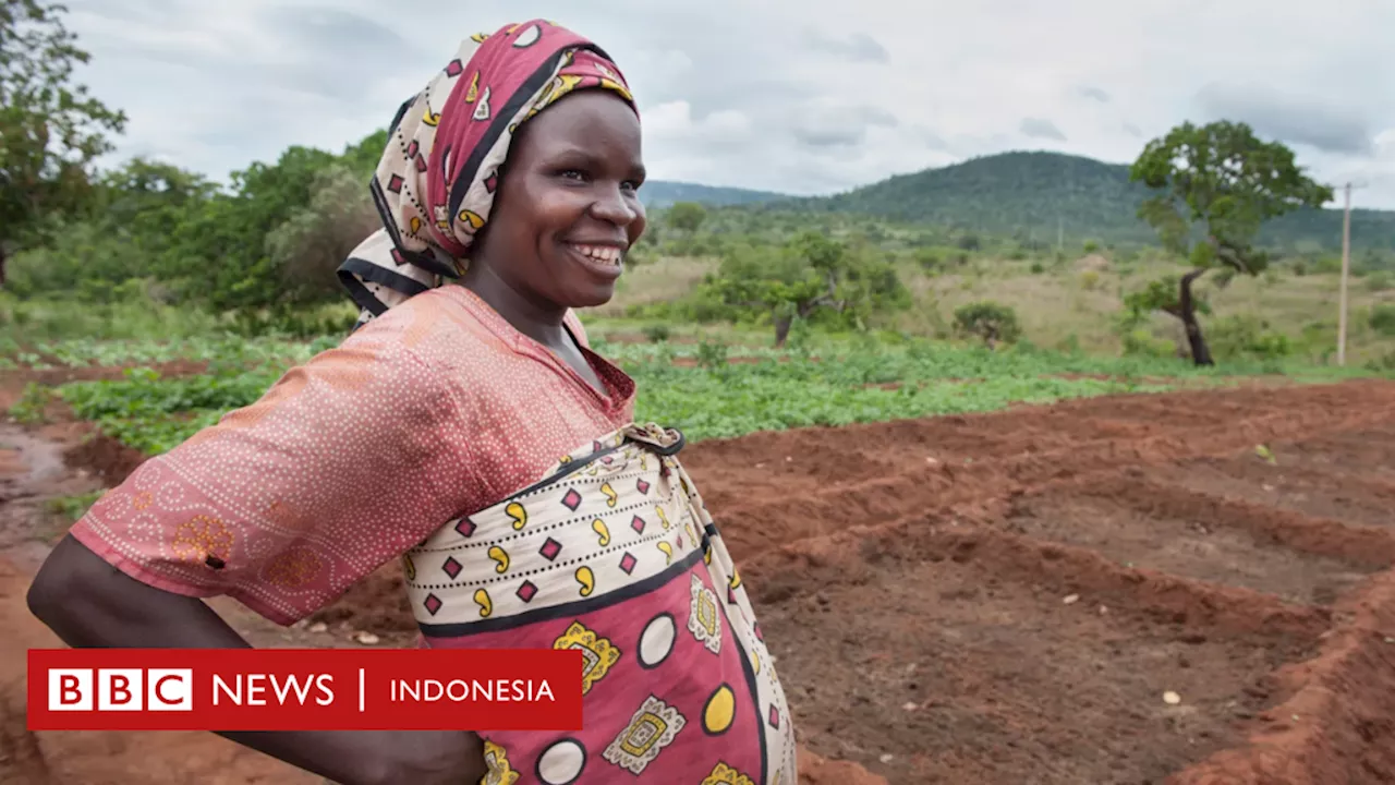 Perubahan iklim: Bagaimana cuaca panas esktrem berpengaruh terhadap ibu hamil dan janinnya?