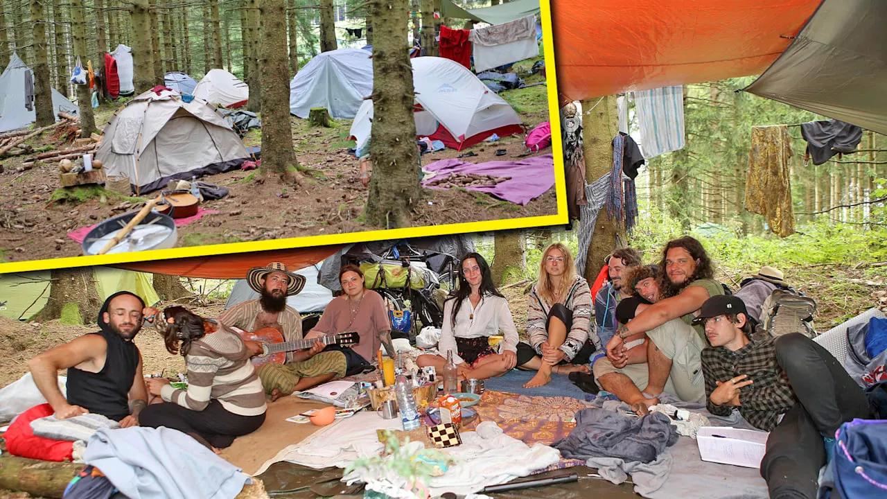 Goslar: Wald im Harz von 2000 Hippies besetzt