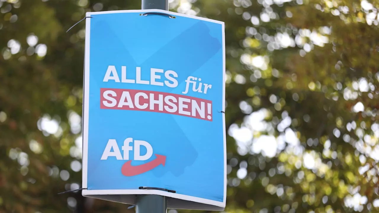 Verboten! AfD zweigt Steuergeld für Wahlkampf ab