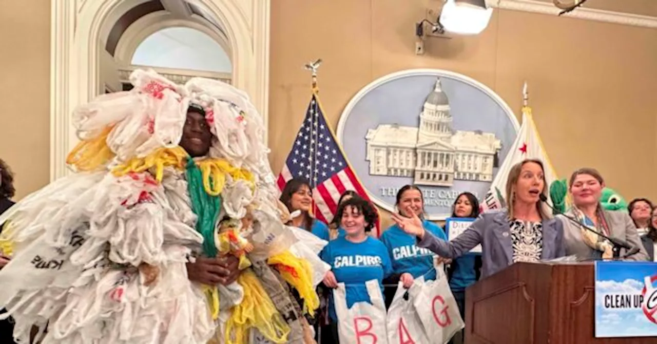 Report: California’s Plastic Bag Ban Produced More Plastic Bag Waste