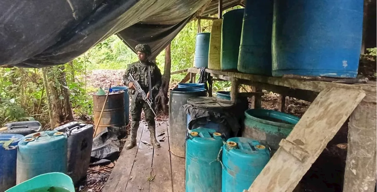 Destruyen laboratorios que producían hasta 6 toneladas de droga en Cauca