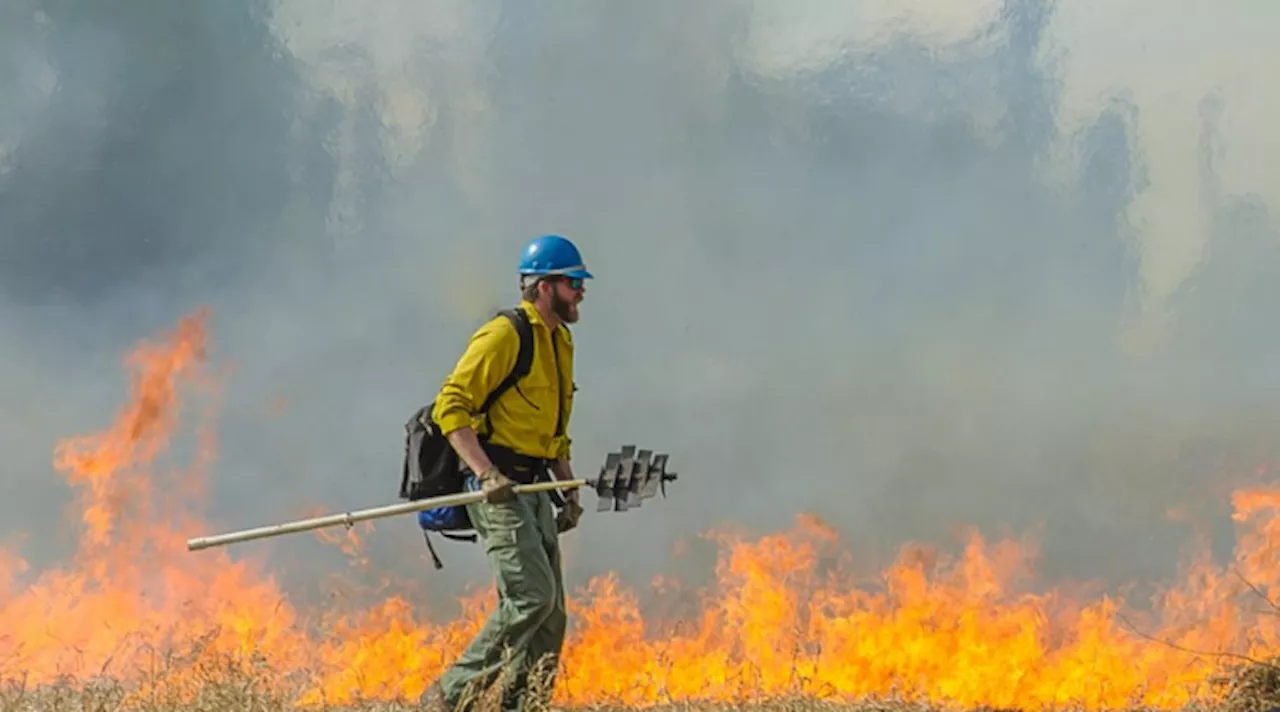 Uso de fogo em áreas rurais é permitido por lei em algumas situações; saiba quais