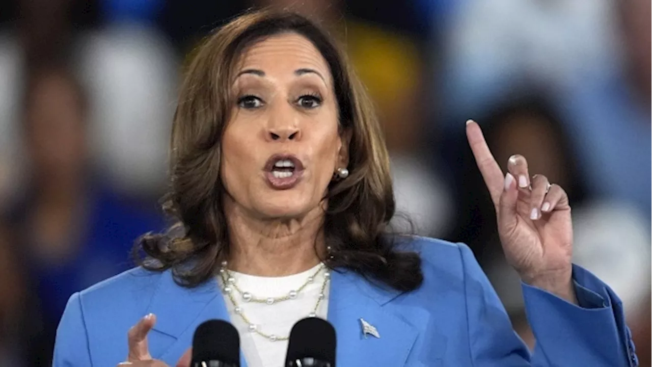 U.S. election: Democratic convention looks to build on Kamala Harris' momentum