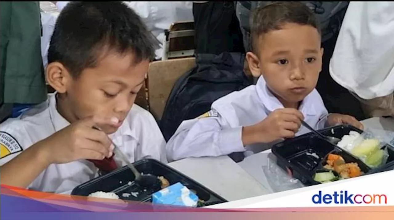 Badan Gizi Jadi Eksekutor Makan Bergizi Gratis, Duitnya Tak Hanya dari APBN