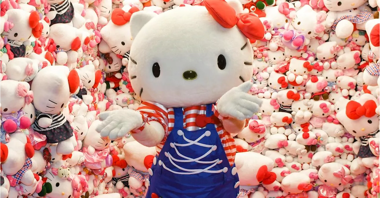 Hello Kitty und Elsa: Wie man mit Emotionen Geld macht