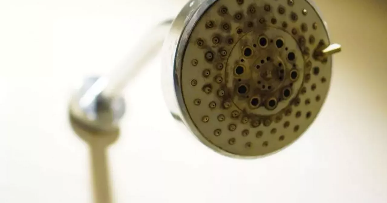 Banish limescale from shower head with £2 item that also kills mould