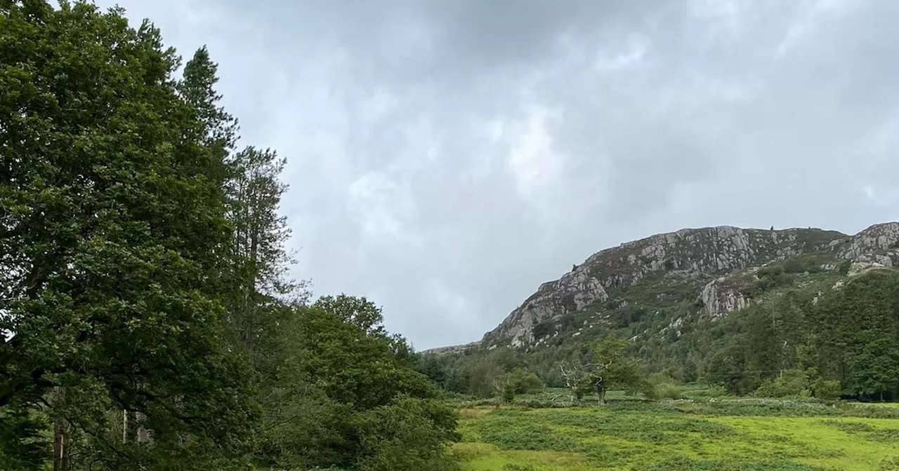 Man dies after suffering cardiac arrest in Lake District forest