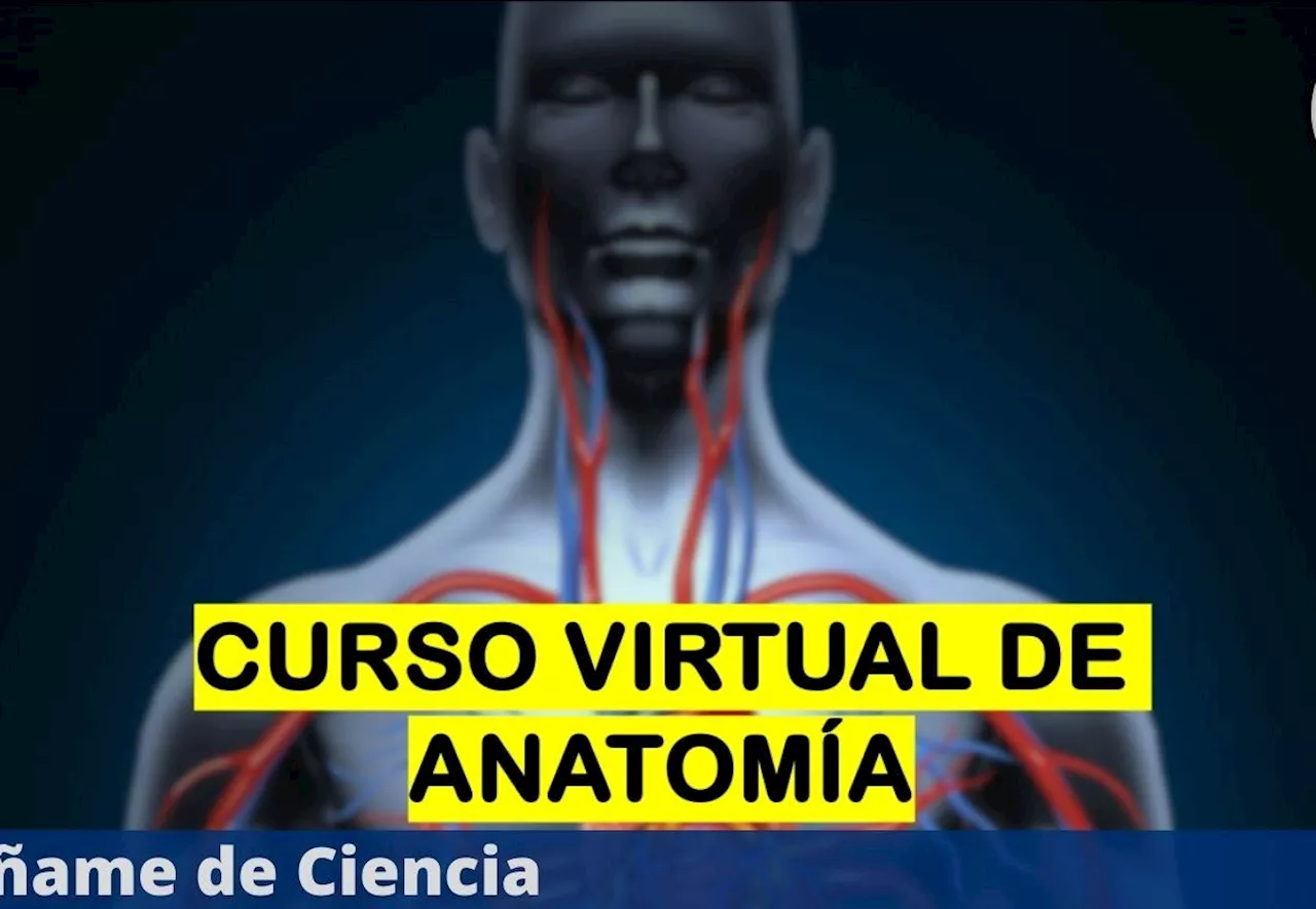 La Universidad de Michigan lanza CURSO virtual de ANATOMÍA y es 100% GRATIS