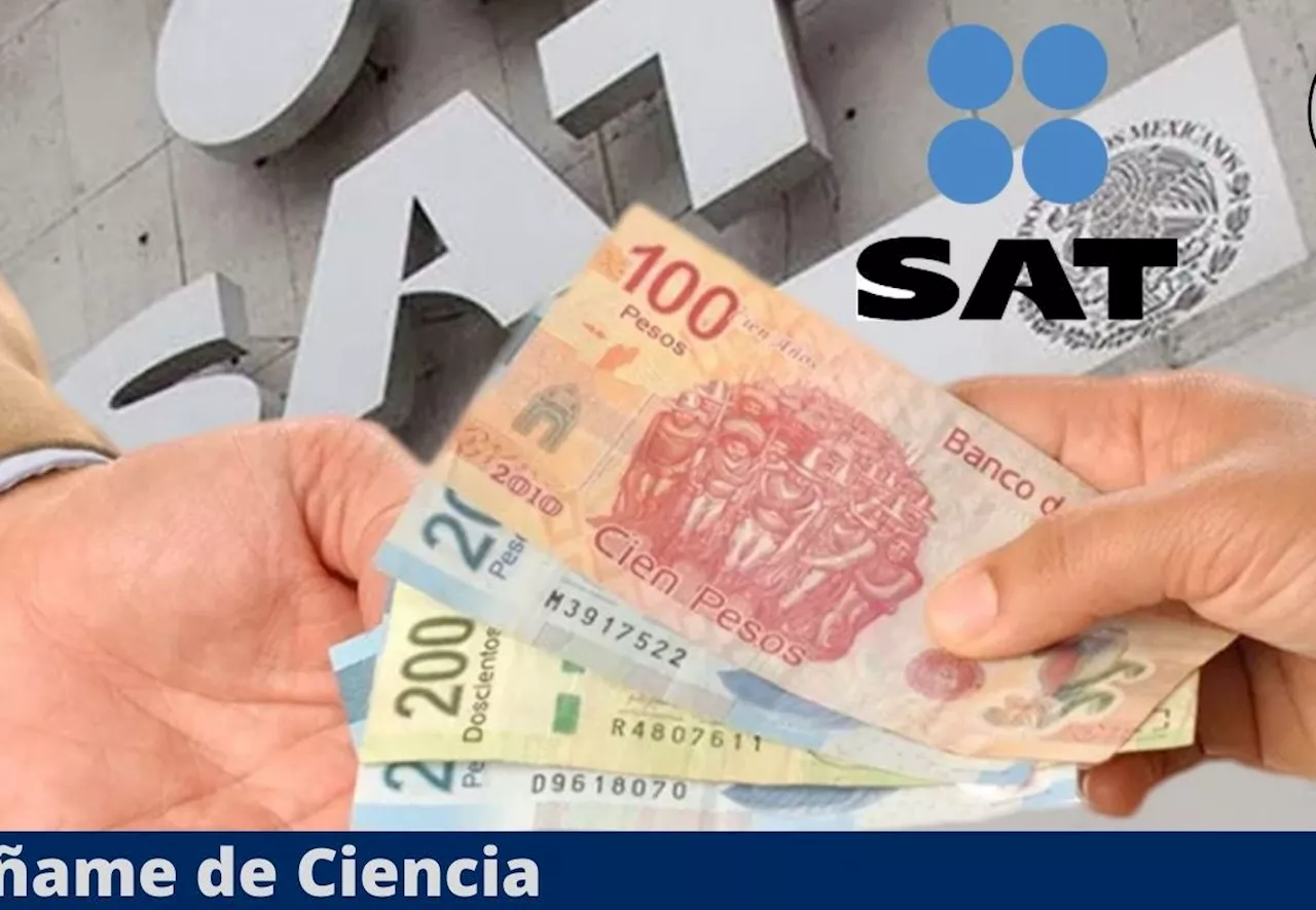 SAT: ¿Cómo saber si tengo saldo a favor y cómo solicitar la devolución?