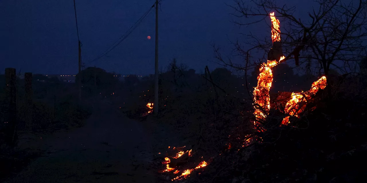 Hérault : 300 hectares brûlés dans un incendie, 400 pompiers mobilisés pour combattre les flammes