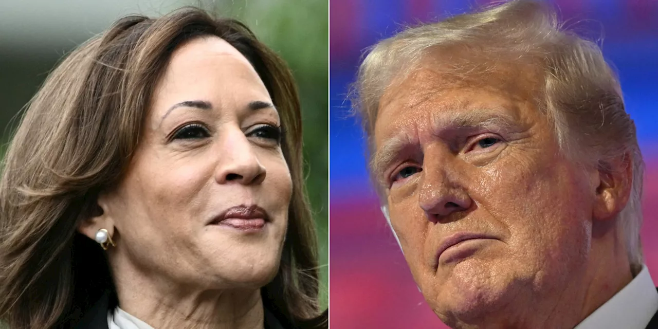 Présidentielle américaine : face à face, Kamala Harris et Donald Trump peaufinent leurs styles de campagne