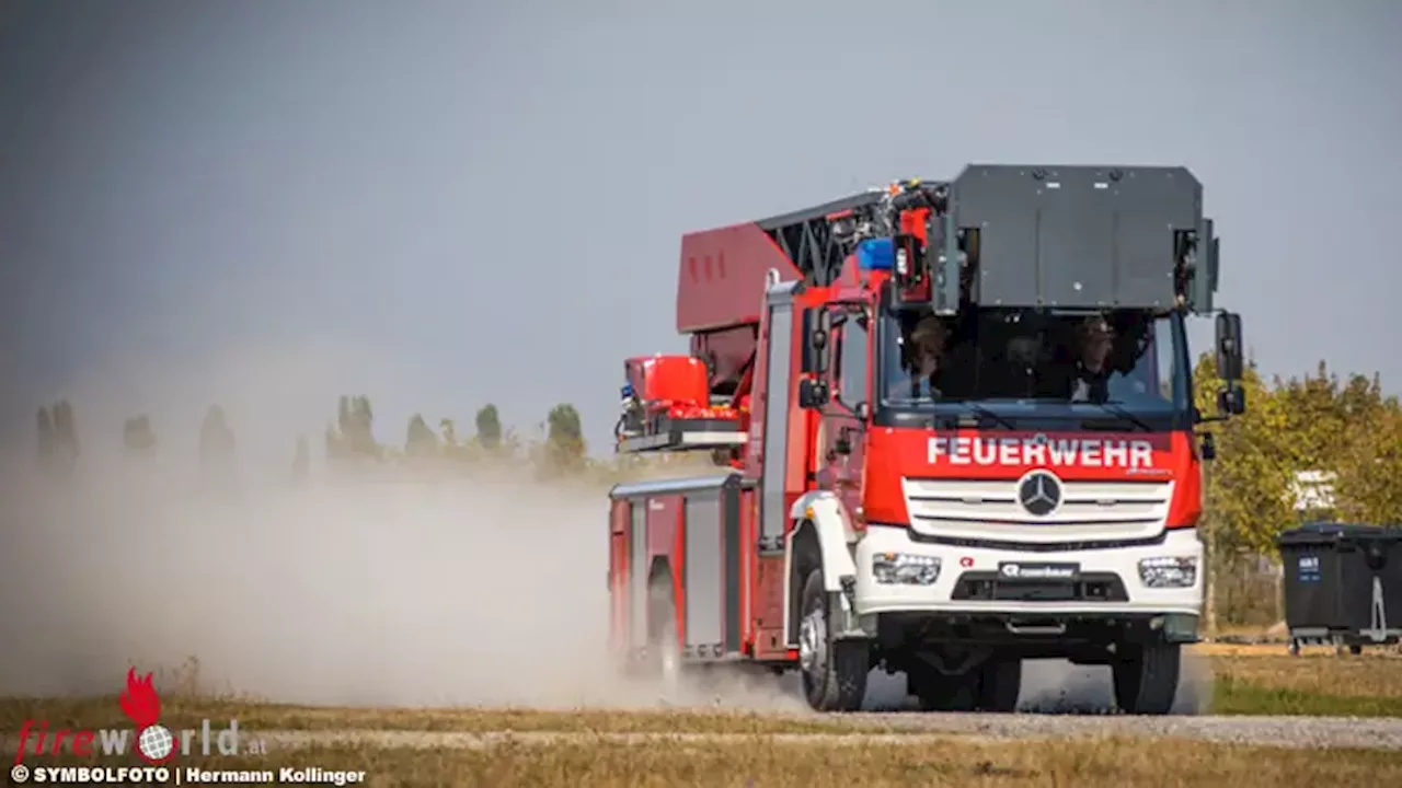 Stmk: Hornissen-Bekämpfung führt zu Wohnhausbrand in Riegersburg