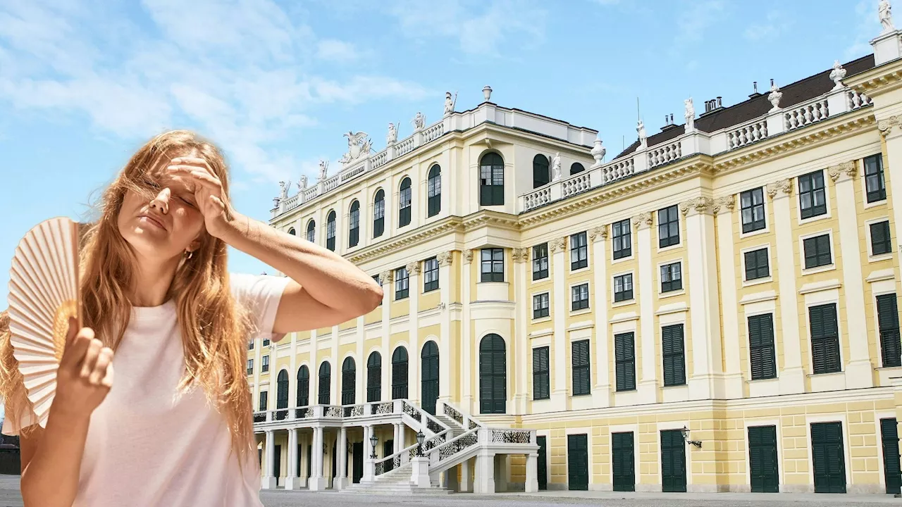 – Schloss Schönbrunn als 'Touristen-Sauna'