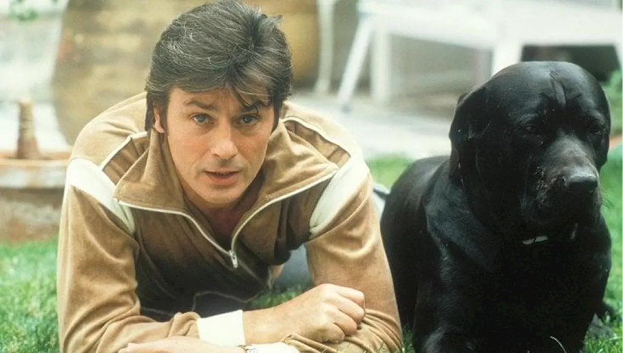 È morto Alain Delon, il suo grande amore per i cani e quell’idea che fece infuriare gli amanti degli animali