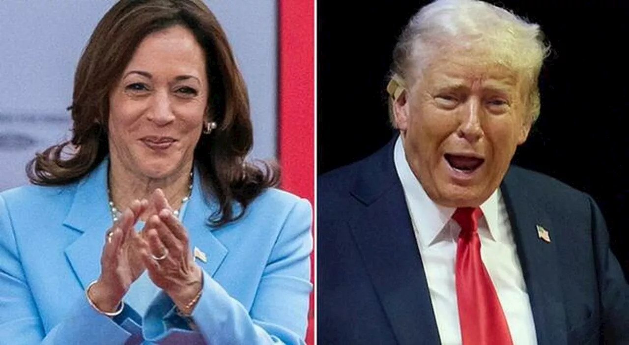 Trump-Harris, dai sussidi ai muri anti-migranti: i programmi dei due candidati e la sfida americana degli oppo