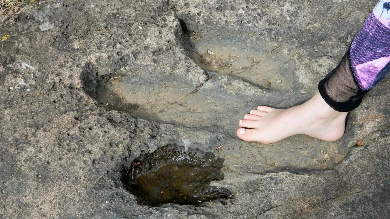 Little girl discovers 200 million-year-old dinosaur footprints during beach walk