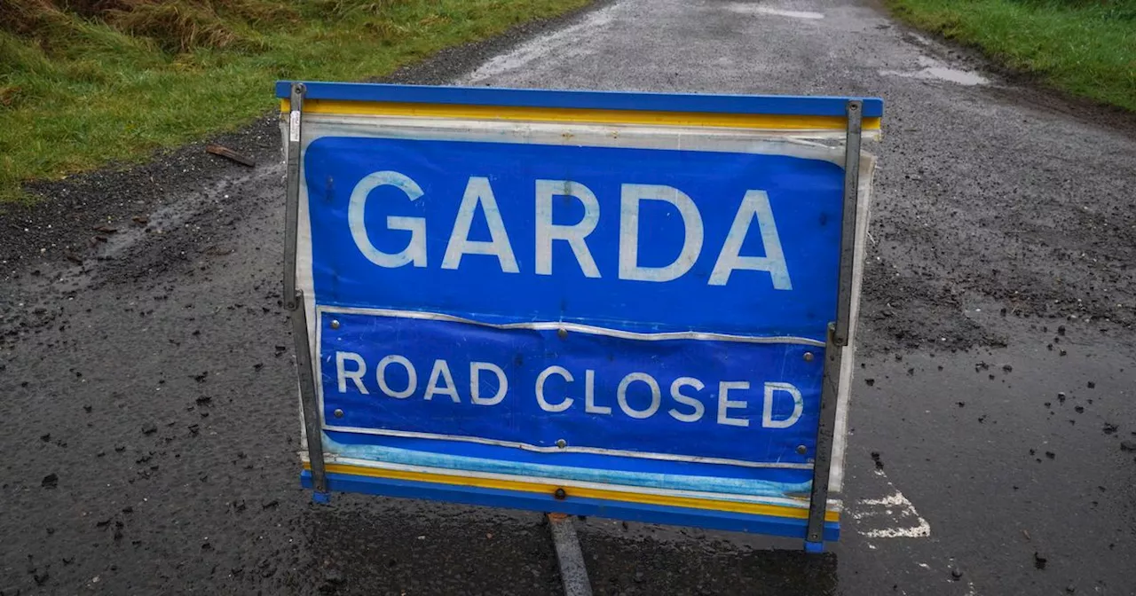 Young man dies in horror single-vehicle crash as gardai close road