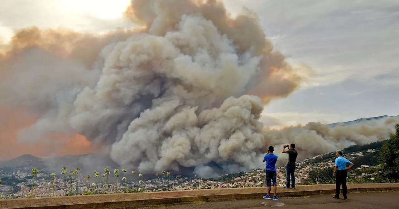 Hundreds of firefighters battle Madeira wildfire