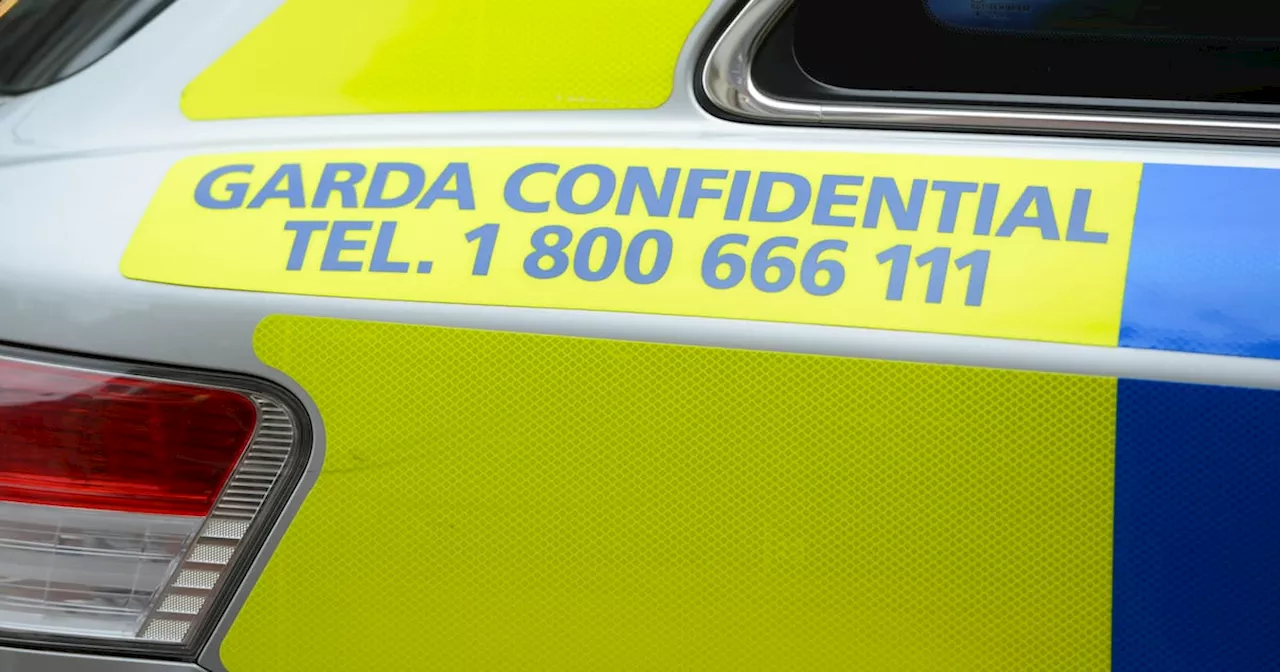 Man (20s) killed in Co Kerry road crash