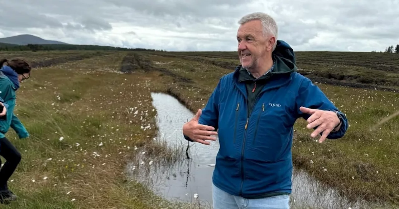 The businessman restoring a blanket bog in one of the remotest parts of Ireland