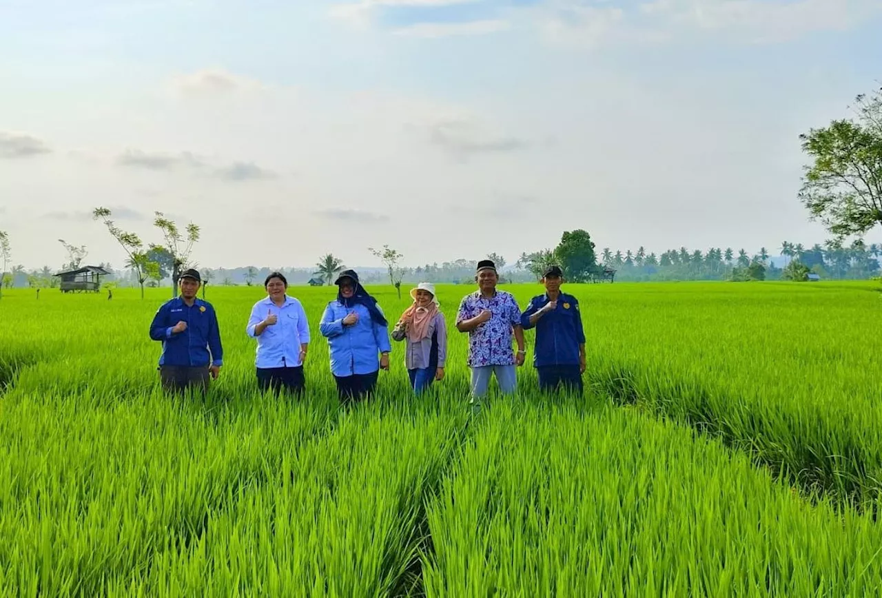 Tingkatkan Produksi Padi, Kementan Berikan 153 Pompa Air ke Kabupaten Bengkulu Selatan