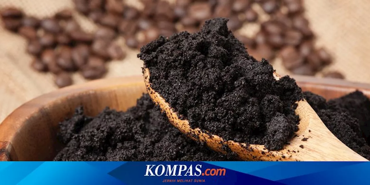 Cara Menyuburkan Tanaman dengan Ampas Kopi