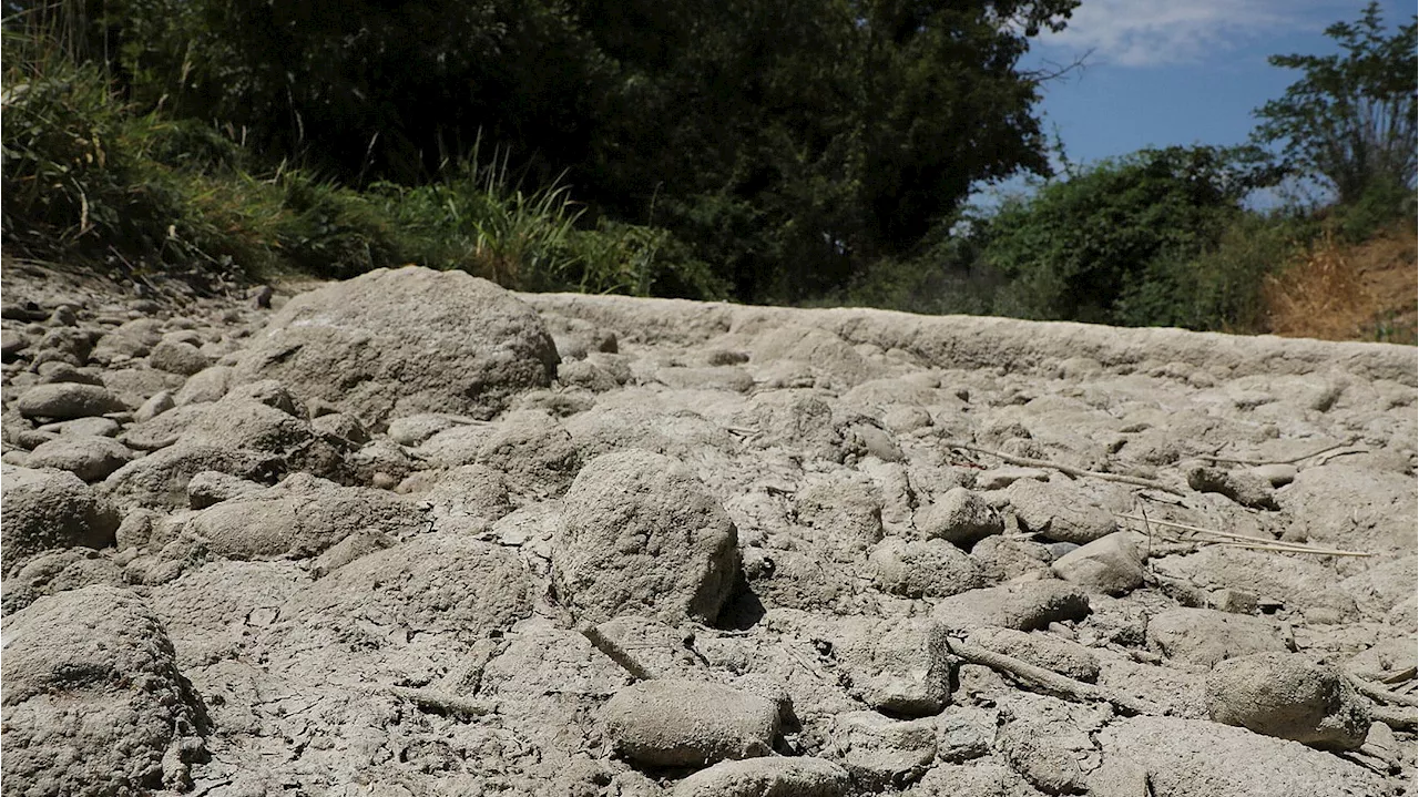 La sécheresse s’aggrave, des cours d’eau en alerte dans les Alpes-de-Haute-Provence