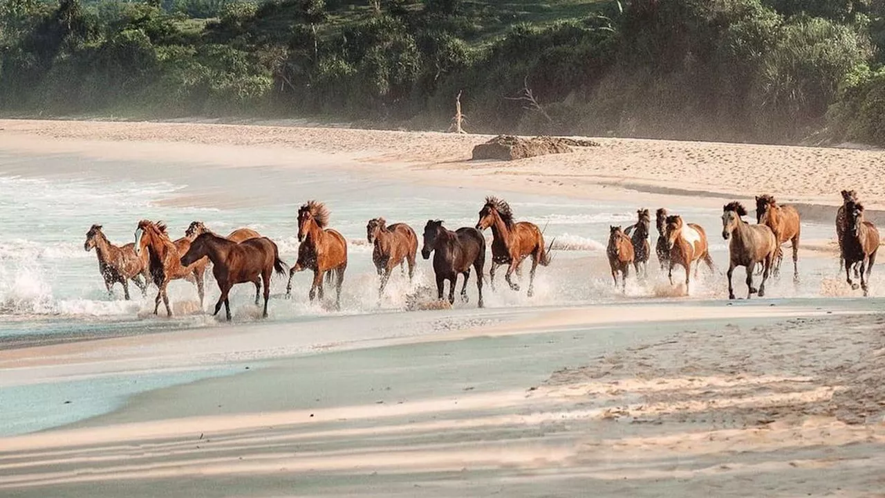 Nihi Sumba Masuk Lima Pantai Terbaik Dunia versi Surat Kabar Inggris