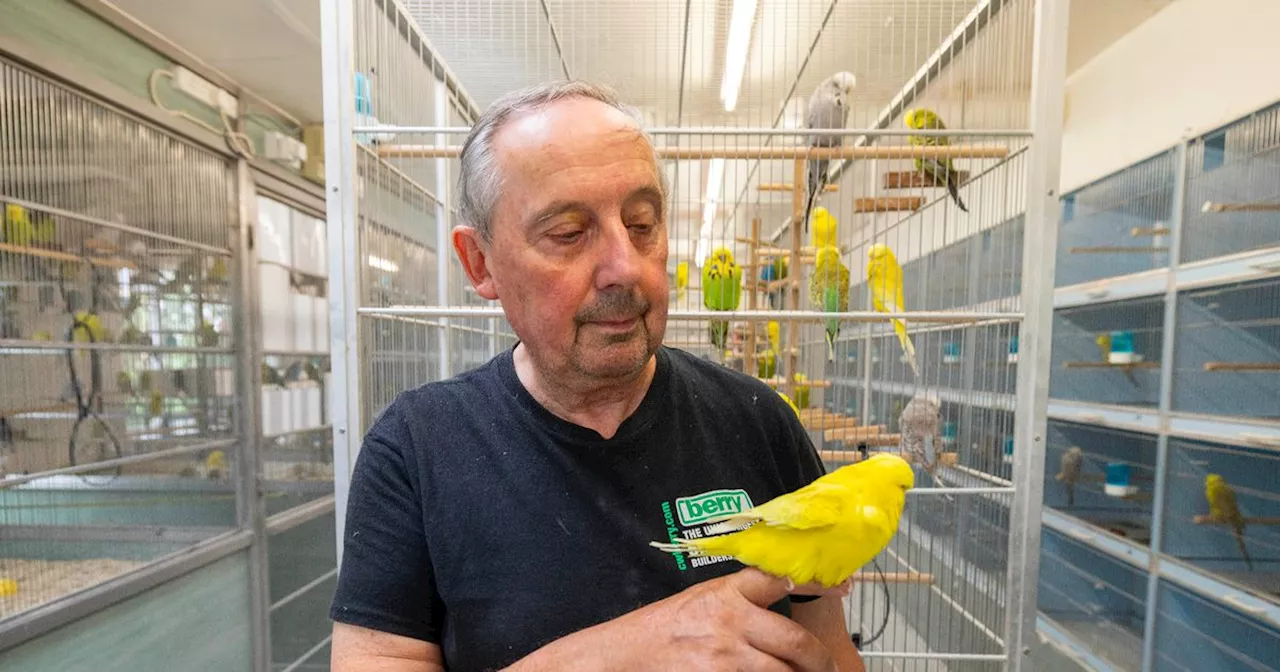 Inside retired couple's home that puts Eden Project to shame