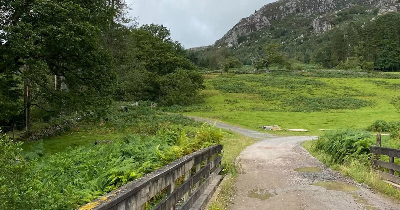 Tragedy as walker dies in Lake District forest