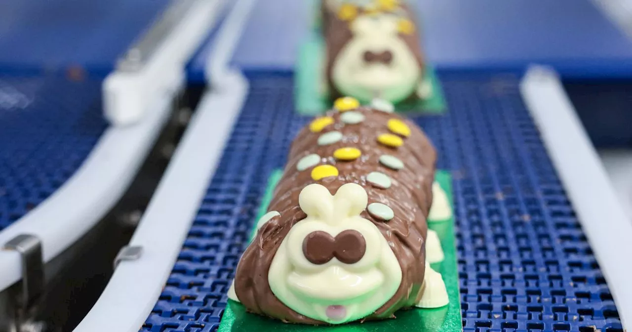 We watched Colin the Caterpillar's incredible journey at Oldham factory