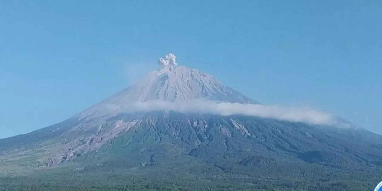 Kembali Erupsi, Gunung Semeru Muntahkan Abu Setinggi 700 Meter