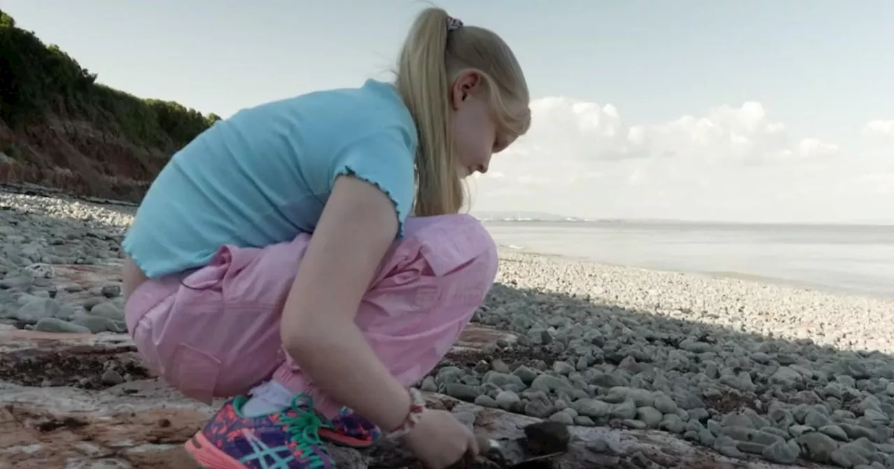 Schoolgirl finds dinosaur footprints in Wales during walk on the beach