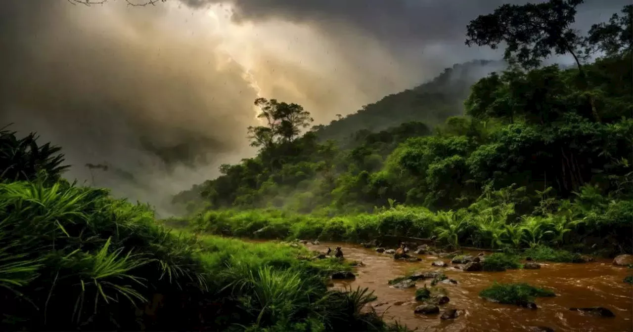 Jharkhand Weather: झारखंड में अगले 5 दिनों के लिए ऑरेंज और येलो अलर्ट, जानें अपने जिले का हाल