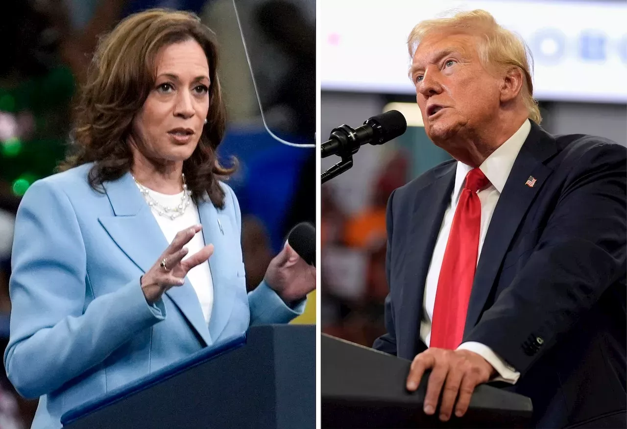 Donald-Trump: Harris Vs. Trump Latest Presidential Poll Numbers: Who Is ...