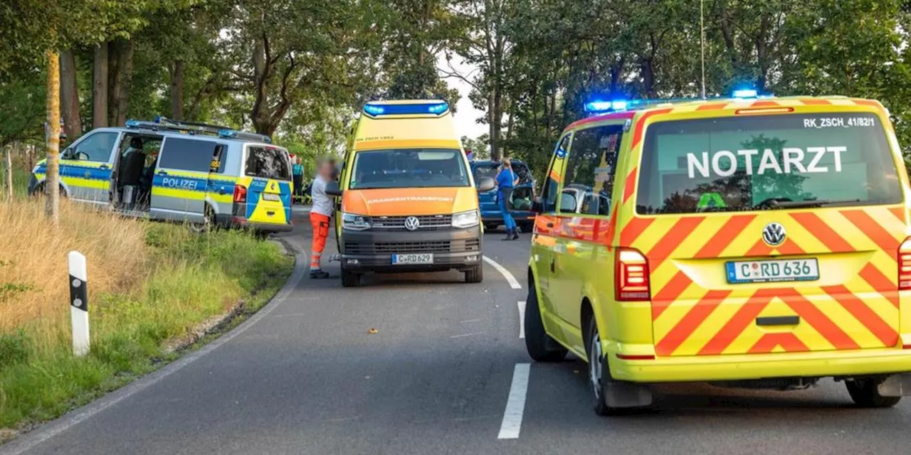 Auto prallt gegen Baum: Frau stirbt auf bayerischer Staatsstra&szlig;e