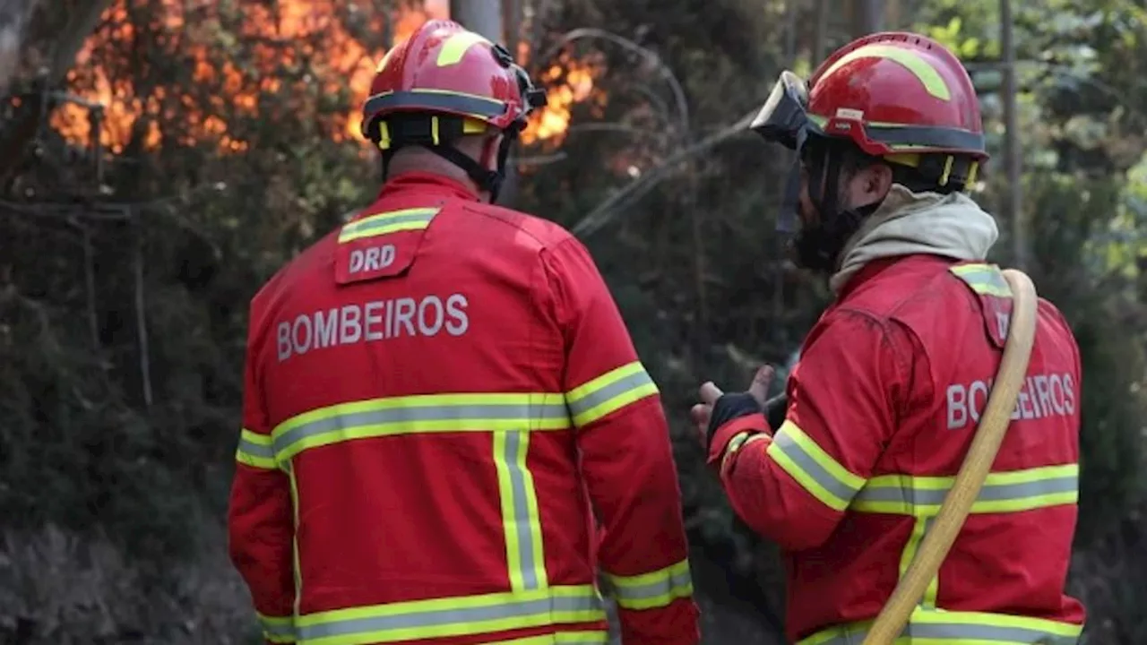 Honderden brandweerlieden bestrijden flinke brand op Madeira