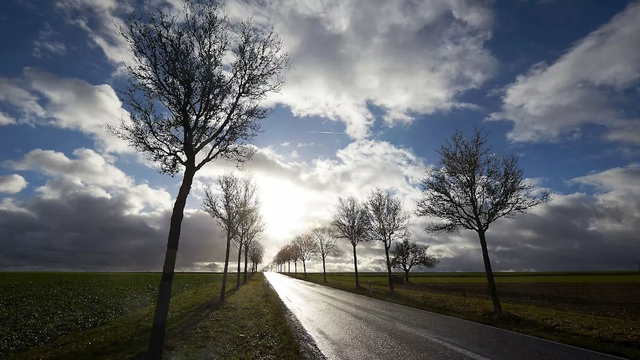 Rheinland-Pfalz & Saarland: Freundlicheres Wetter in Rheinland-Pfalz und im Saarland