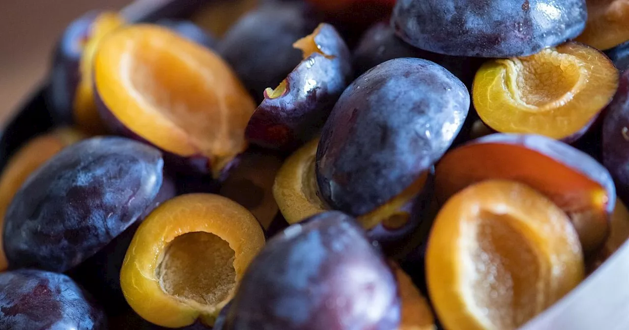 Jetzt wird's violett: Backen mit Zwetschgen und Pflaumen