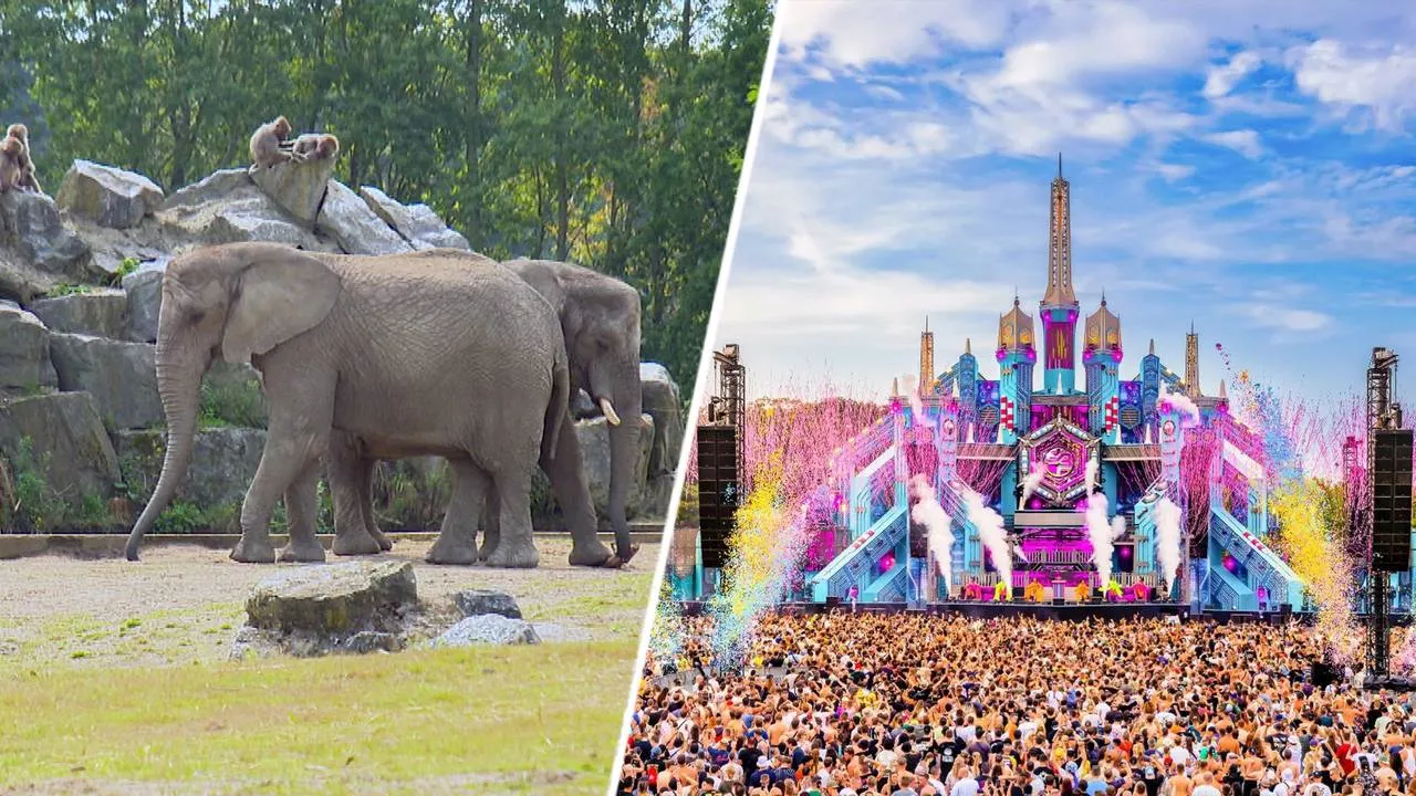 Zorgen om dieren in herrie want safaripark en hardstylefestival zijn buren