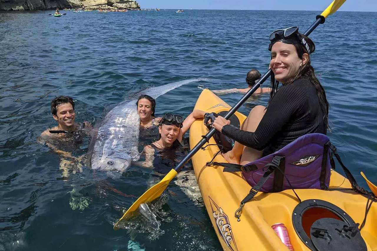 Rare 'Doomsday Fish' Found Off the Coast of Southern California by Group of Snorkelers and Kayakers