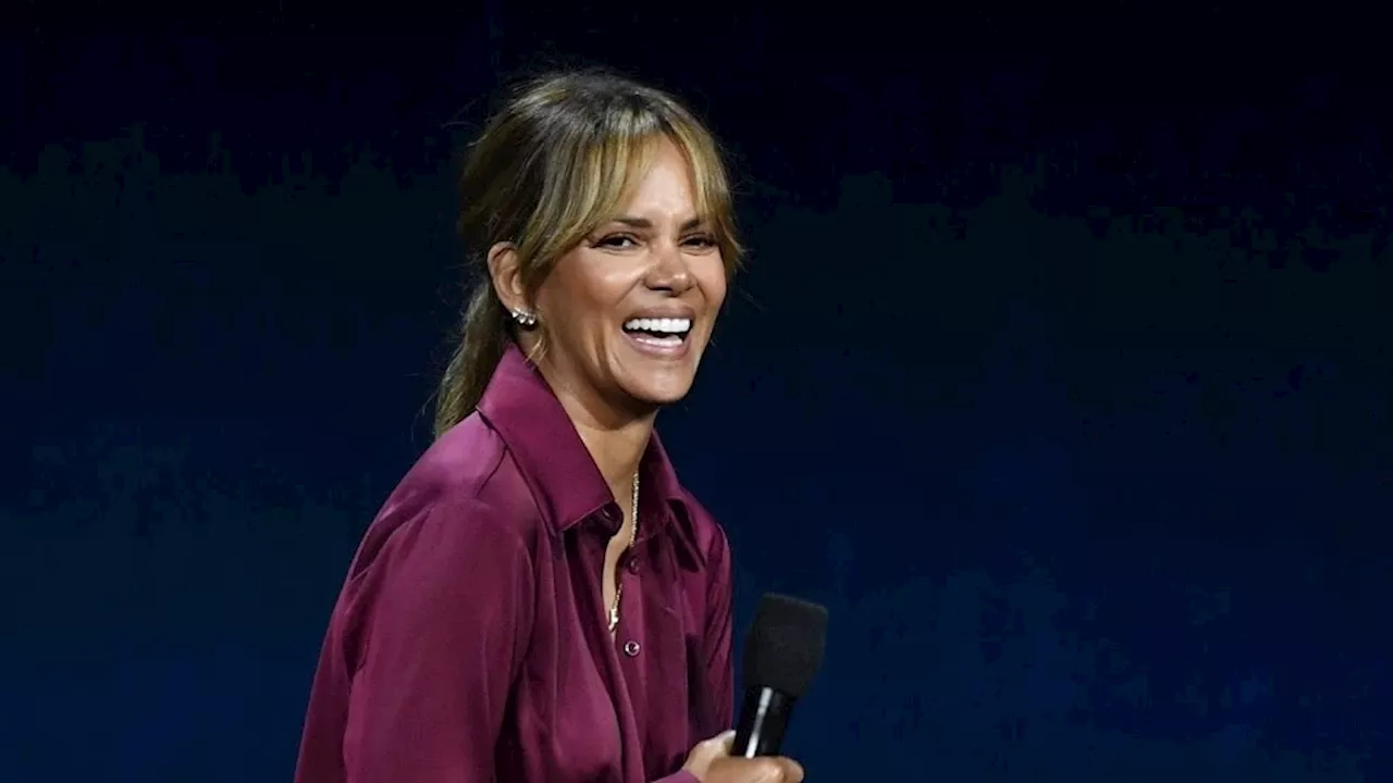 Halle Berry en ex-man ruziën opnieuw over voogdij zoon