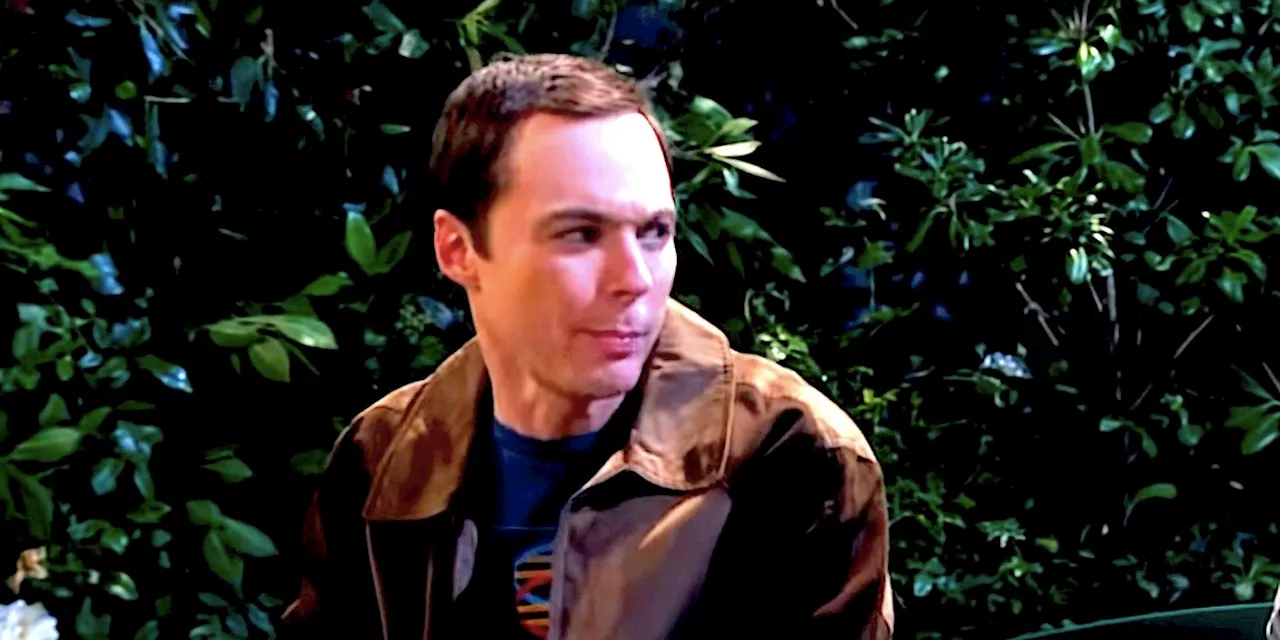 The Big Bang Theory’s Best Stephen Hawking Story Fixed A Sheldon Character Flaw